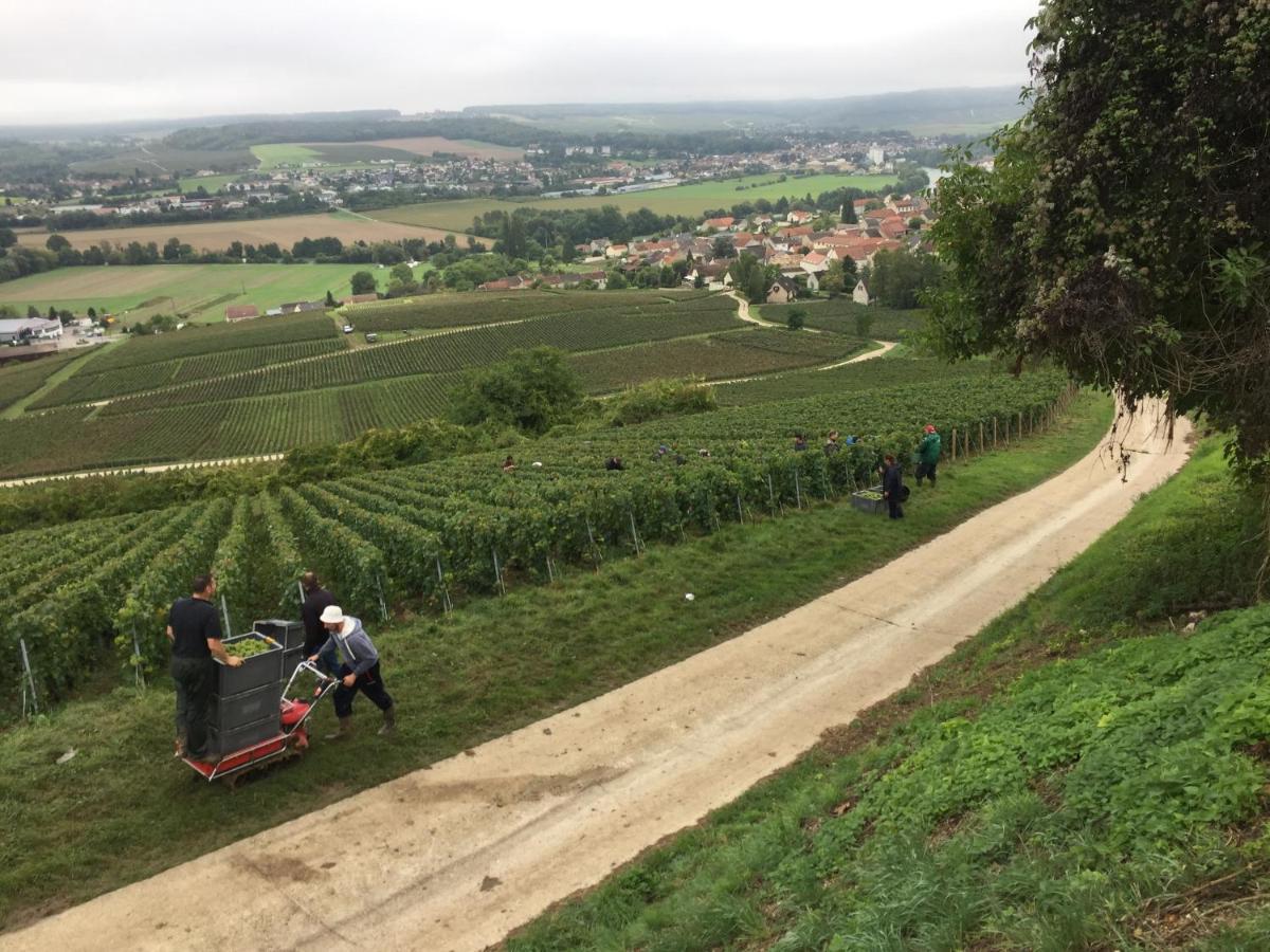 Villa L'Insouciance En Champagne Vincelles  Exteriér fotografie