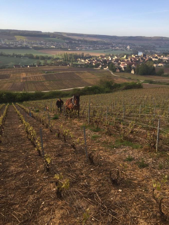 Villa L'Insouciance En Champagne Vincelles  Exteriér fotografie