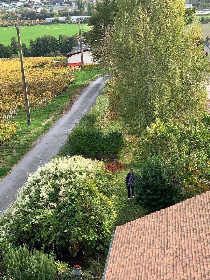 Villa L'Insouciance En Champagne Vincelles  Exteriér fotografie